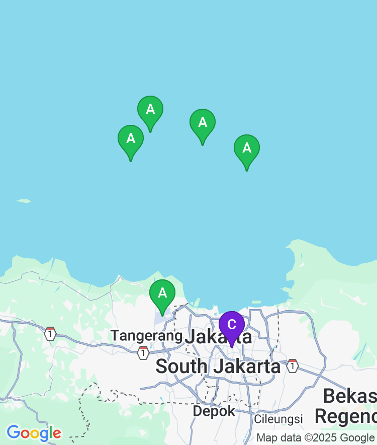 Jakarta Available Airport Options